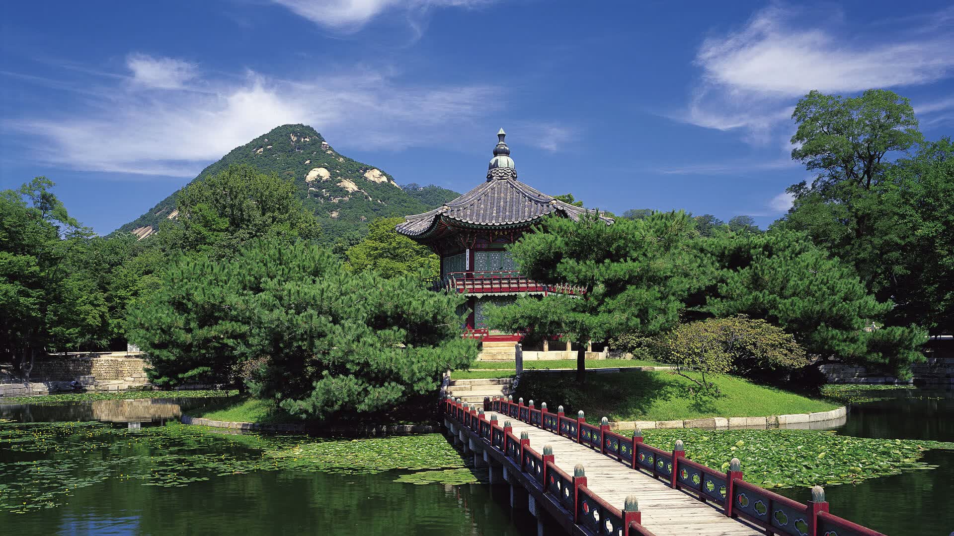 世界羽毛球赛事教练技术讲座系列活动获好评,2020羽毛球教练